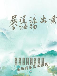 尿道流出黄脓状分泌物