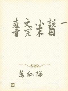 爽文小说一口气看完末日