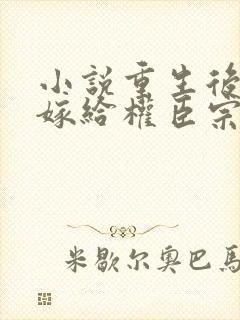 小说重生后绝不嫁给权臣宗肆在线阅读