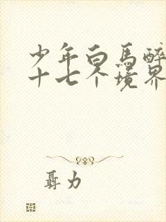 少年白马醉春风十七个境界