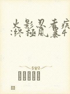 火影忍者疾风传:终极风暴4