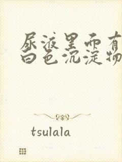 尿液里面有少许白色沉淀物