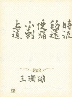 上小便的时候尿道刺痛还流血