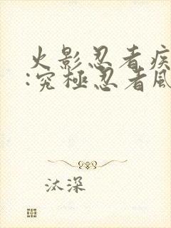 火影忍者疾风传:究极忍者风暴2