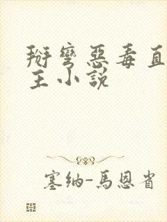 掰弯恶毒直男男主小说