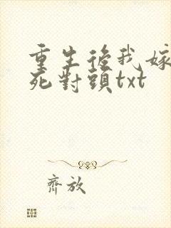 重生后我嫁给了死对头txt