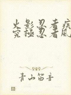 火影忍者疾风传究极忍者风暴4代充