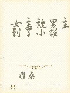 女主被男主们找到了小说