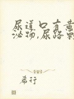 尿道口有黄色分泌物,尿路刺痛