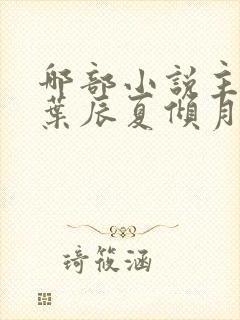 哪部小说主角叫叶辰夏倾月