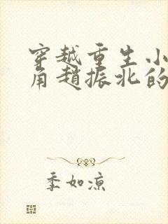 穿越重生小说主角赵振北的小说