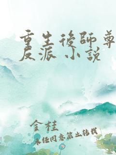 重生后师尊成了反派 小说