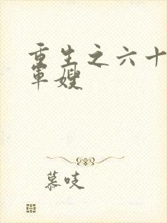 重生之六十年代军嫂