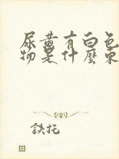 尿黄有白色絮状物是什么东西