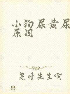 小狗尿黄尿什么原因