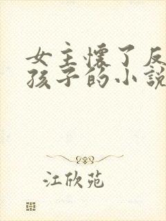 女主怀了反派的孩子的小说
