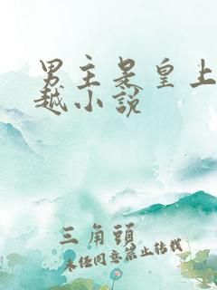 男主是皇上的穿越小说