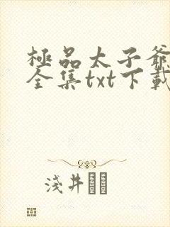 极品太子爷下载全集txt下载