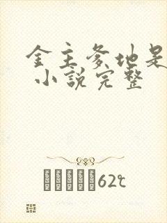 金主爹地是大佬 小说完整