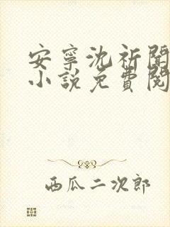 安宁沈祈闻主角小说免费阅读