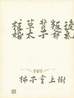 校草背叛后我闪婚太子爷气疯他苏念笙无删