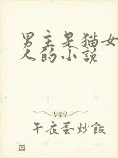男主是猫女主是人的小说