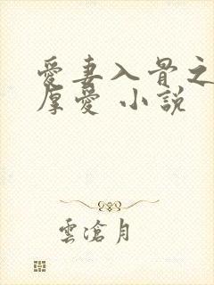 爱妻入骨之盛婚厚爱 小说