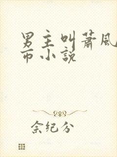 男主叫萧风的都市小说