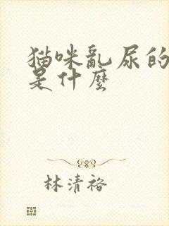 猫咪乱尿的原因是什么