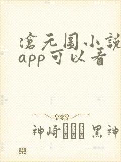 沧元图小说那个app可以看