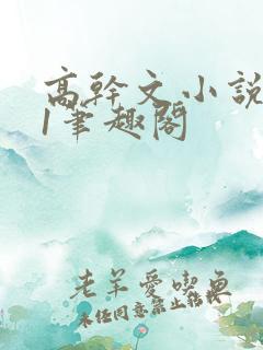 高干文小说1v1笔趣阁