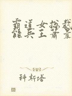 霸道女总裁的全能兵王萧晨