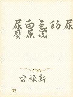 尿白色的尿是什么原因