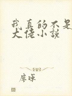 我真的不是女装大佬小说