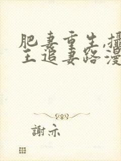 肥妻重生,摄政王追妻路漫漫