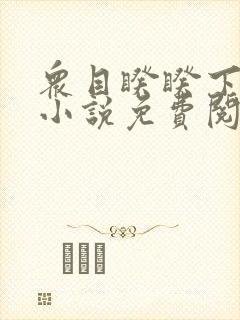 众目睽睽下的事小说免费阅读笔趣阁