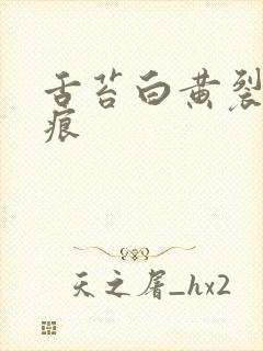 舌苔白黄裂纹齿痕