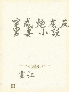 穿成炮灰反派的男妻 小说