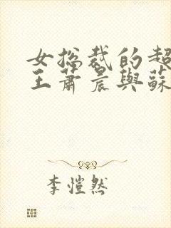 女总裁的超级兵王萧晨与苏晴