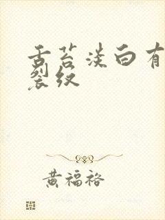 舌苔淡白有齿痕裂纹