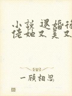 小说 退婚后大佬她又美又飒