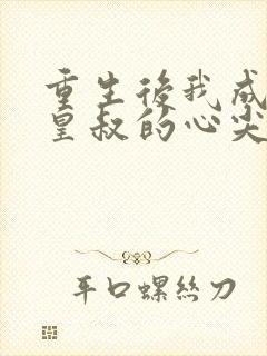 重生后我成为了皇叔的心尖宠