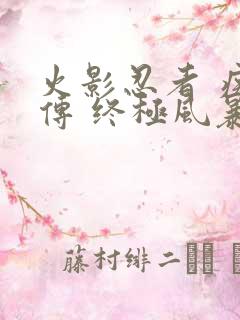 火影忍者 疾风传 终极风暴4