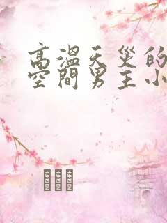 高温天灾的末世空间男主小说