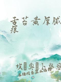 舌苔黄厚腻有齿痕