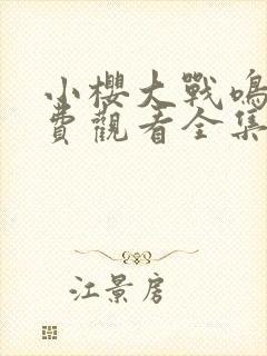 小樱大战鸣人免费观看全集动漫在线