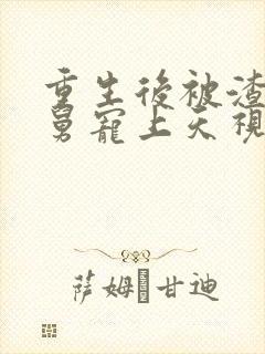 重生后被渣男舅舅宠上天视频