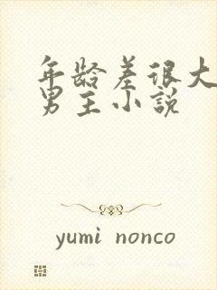 年龄差很大的双男主小说