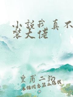 小说我真不是女装大佬