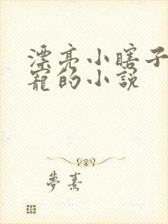 漂亮小瞎子他超宠的小说